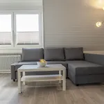 Dallacker 25/3 OG